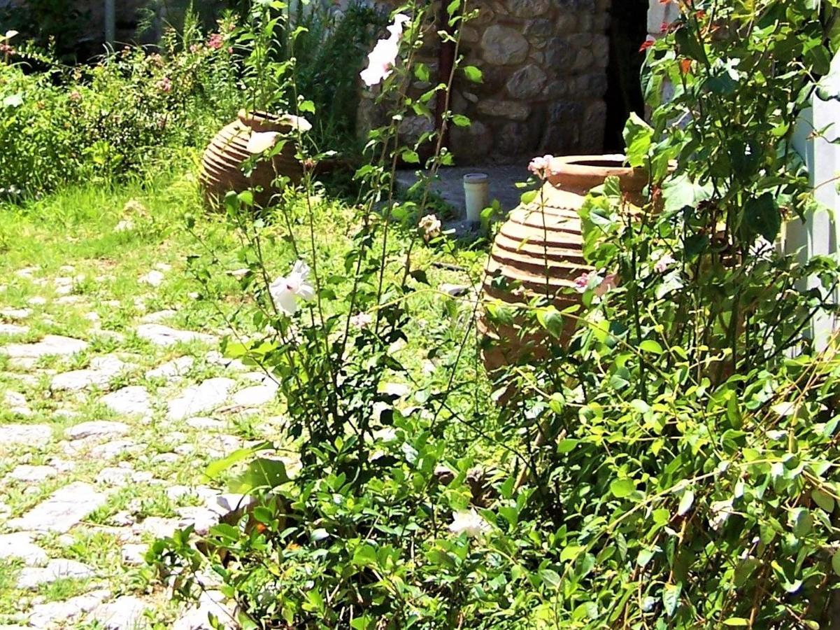 Ανεξαρτητο Studio Στο Ομορφο Καστορειο Kastorion Экстерьер фото