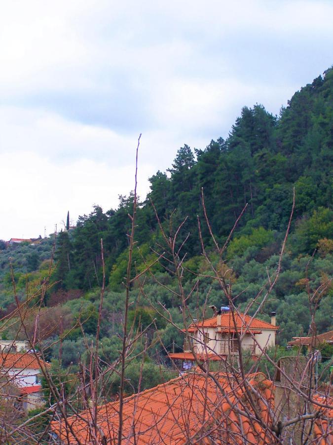 Ανεξαρτητο Studio Στο Ομορφο Καστορειο Kastorion Экстерьер фото
